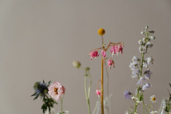 Gilded Garden